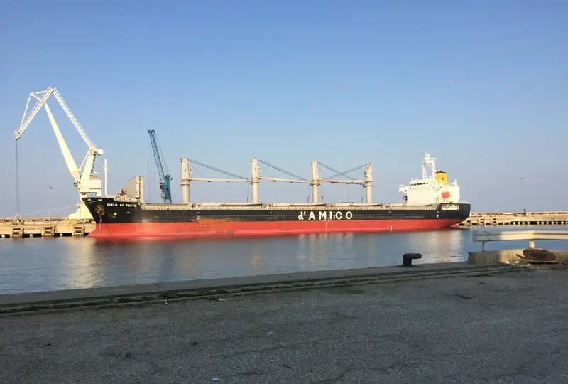 ZIMRIDA Bulk Carrier IMO 9380817