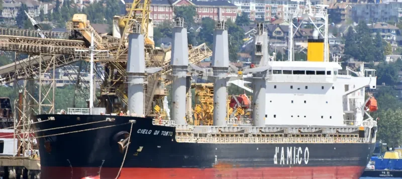 ZIMRIDA Bulk Carrier IMO 9380817 photo 2