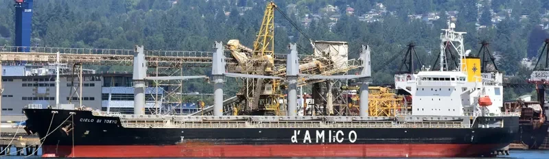 ZIMRIDA Bulk Carrier IMO 9380817 photo 3