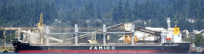 ZIMRIDA Bulk Carrier IMO 9380817 photo 4