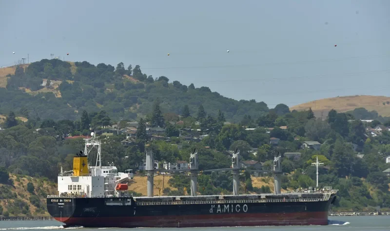 ZIMRIDA Bulk Carrier IMO 9380817 photo 5