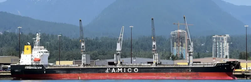 ZIMRIDA Bulk Carrier IMO 9380817 photo 6