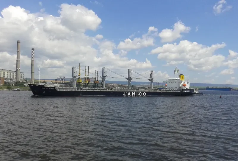 ZIMRIDA Bulk Carrier IMO 9380817 photo 7