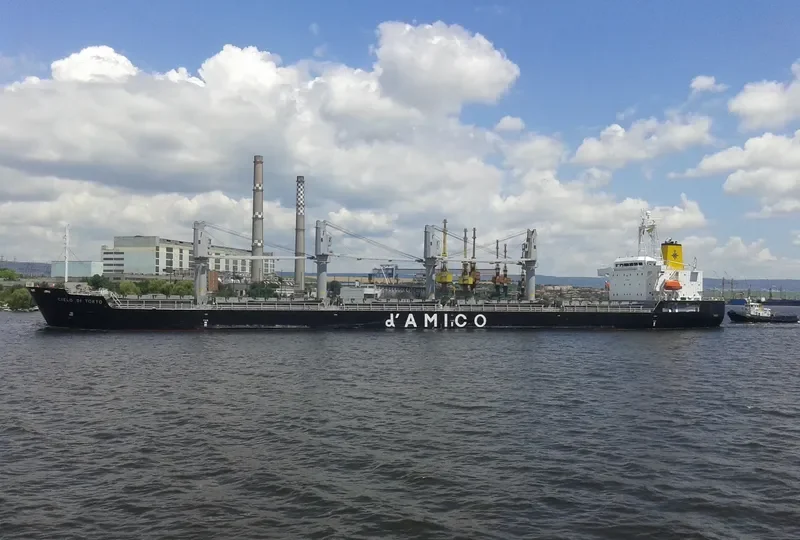 ZIMRIDA Bulk Carrier IMO 9380817 photo 9