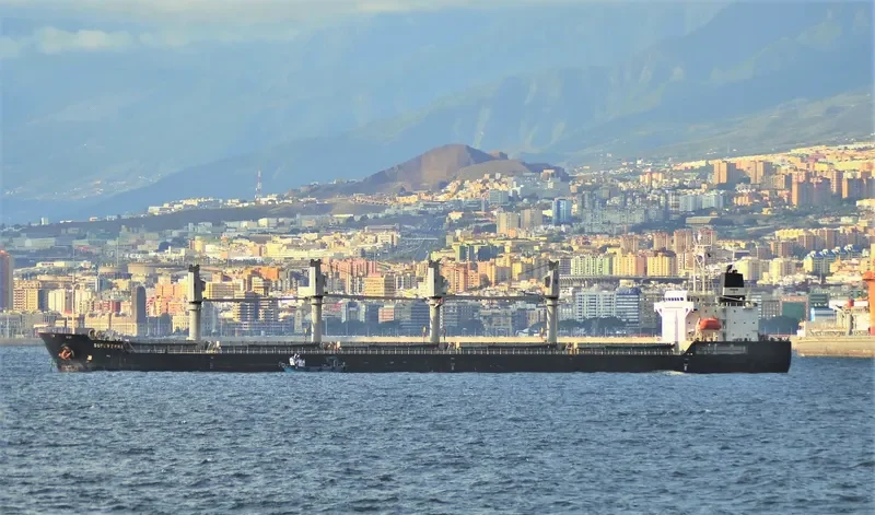 SUPER EMMA Bulk Carrier IMO 9380829