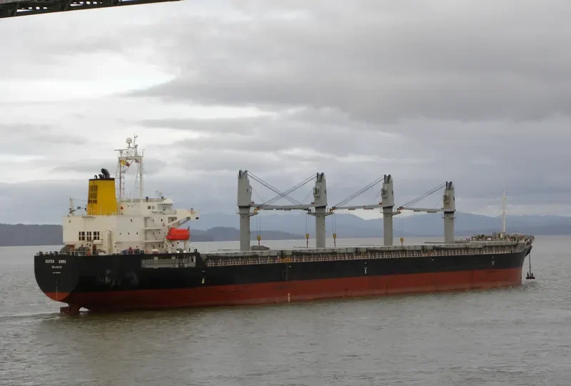 SUPER EMMA Bulk Carrier IMO 9380829 photo 6