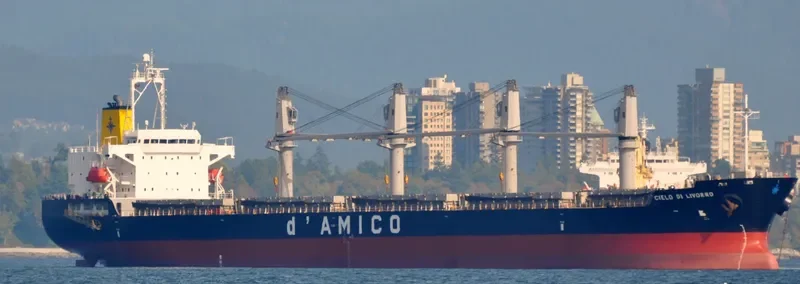 SUPER EMMA Bulk Carrier IMO 9380829 photo 10
