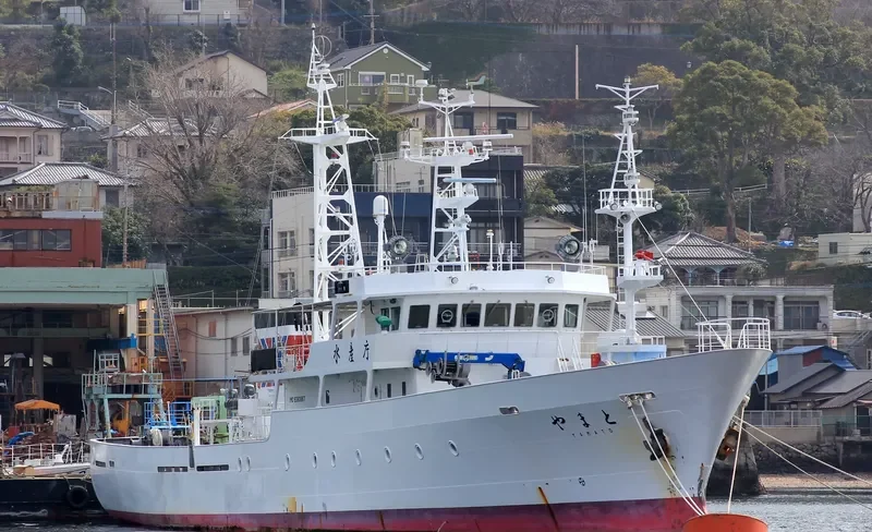 YAMATO General Cargo IMO 9380867 photo 2