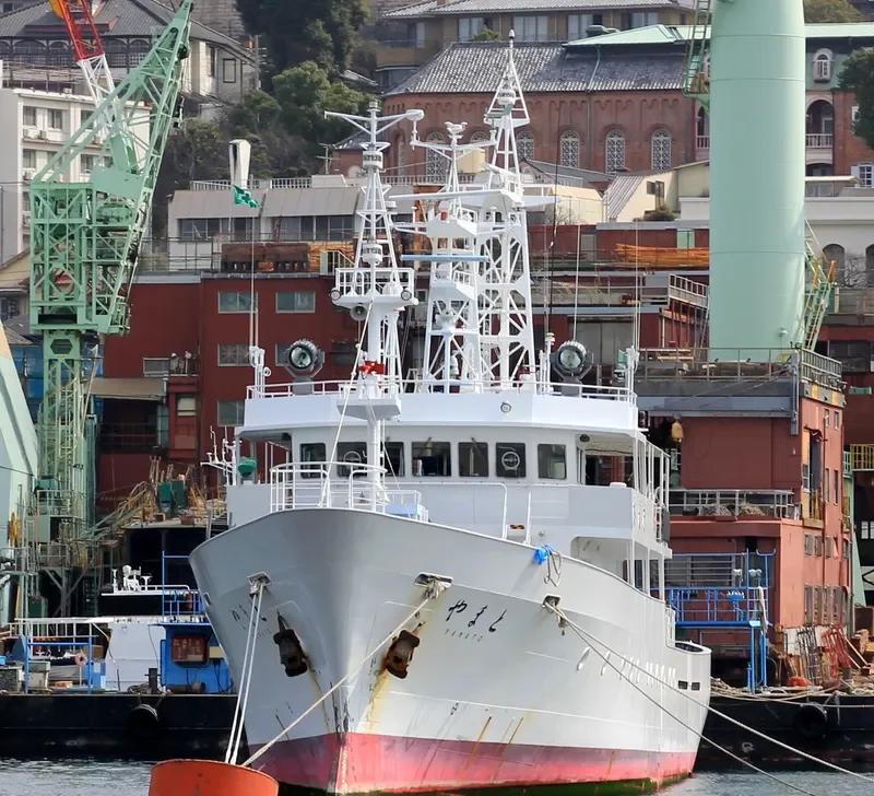 YAMATO General Cargo IMO 9380867 photo 3
