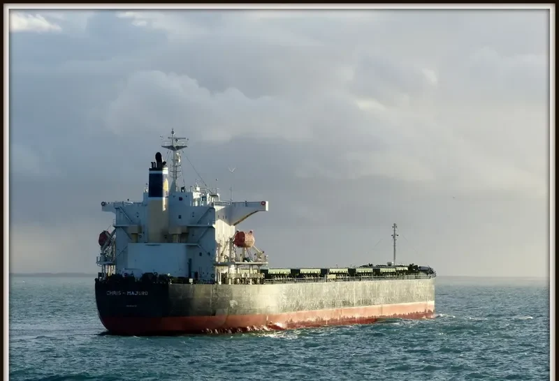 SHAIL AL RAYAN Bulk Carrier IMO 9381172 photo 4