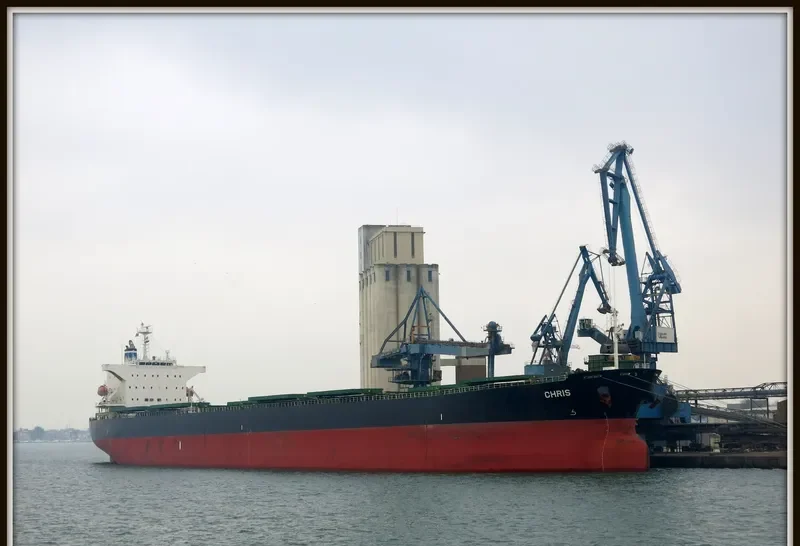 SHAIL AL RAYAN Bulk Carrier IMO 9381172 photo 5