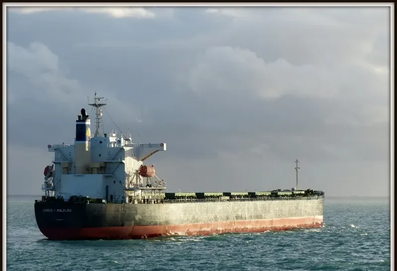 SHAIL AL RAYAN Bulk Carrier IMO 9381172 photo 7