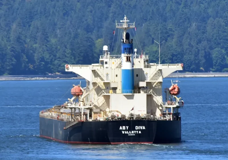 BLUE IONIAN Bulk Carrier IMO 9381184 photo 3