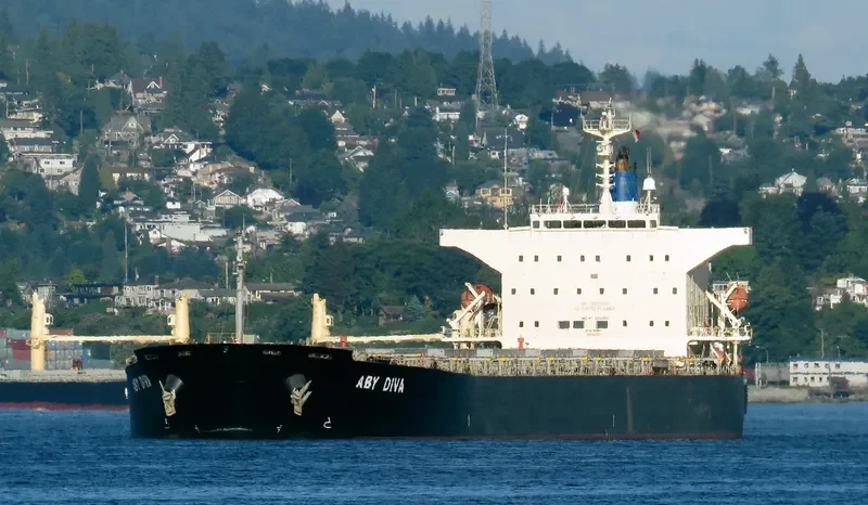 BLUE IONIAN Bulk Carrier IMO 9381184 photo 6