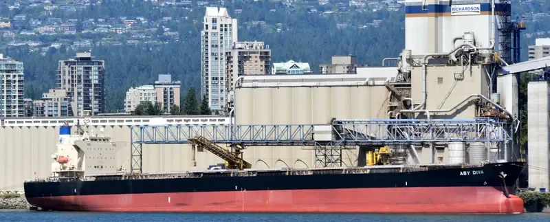 BLUE IONIAN Bulk Carrier IMO 9381184 photo 7