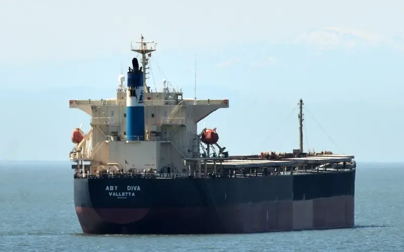 BLUE IONIAN Bulk Carrier IMO 9381184 photo 8