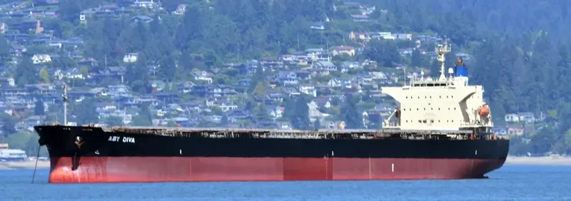 BLUE IONIAN Bulk Carrier IMO 9381184 photo 9
