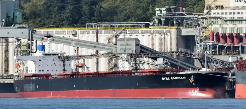 DYNA CAMELLIA Bulk Carrier IMO 9381196 photo 2