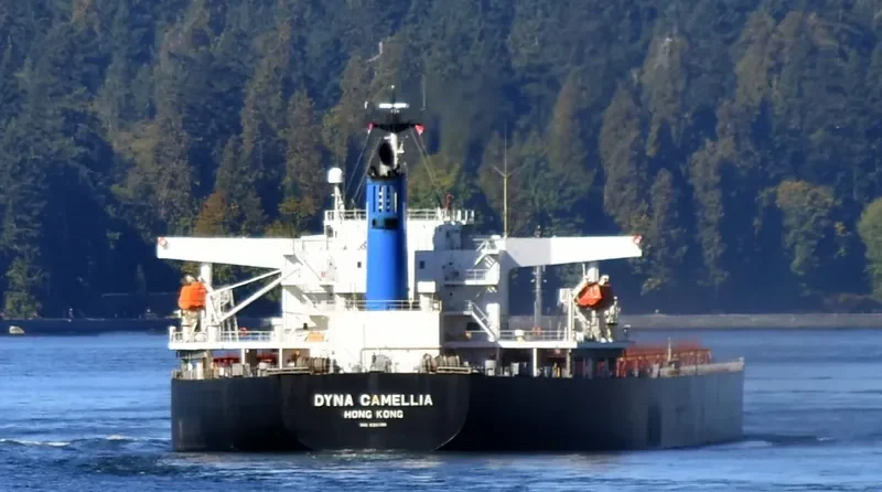 DYNA CAMELLIA Bulk Carrier IMO 9381196 photo 4