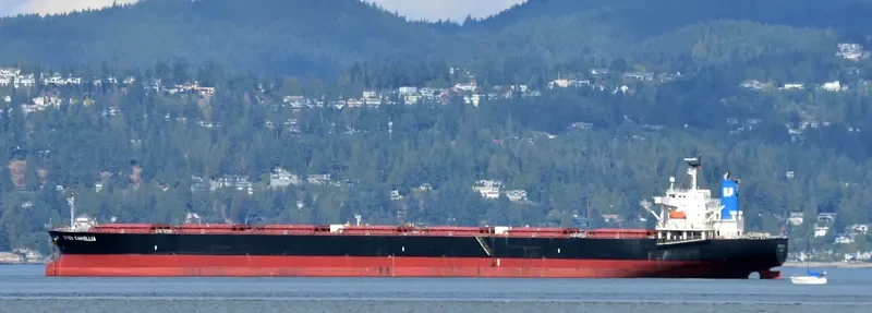 DYNA CAMELLIA Bulk Carrier IMO 9381196 photo 5