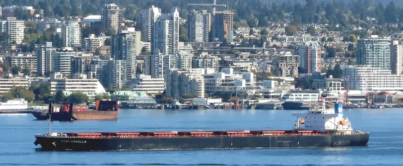 DYNA CAMELLIA Bulk Carrier IMO 9381196 photo 6