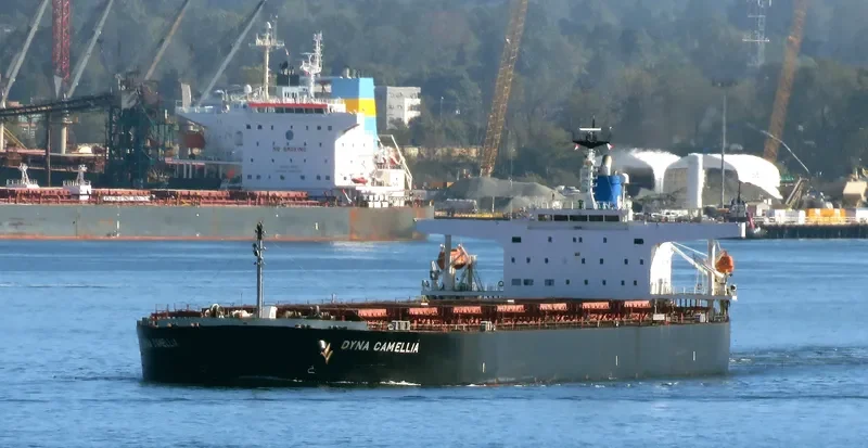 DYNA CAMELLIA Bulk Carrier IMO 9381196 photo 7