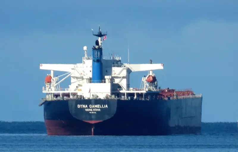 DYNA CAMELLIA Bulk Carrier IMO 9381196 photo 9
