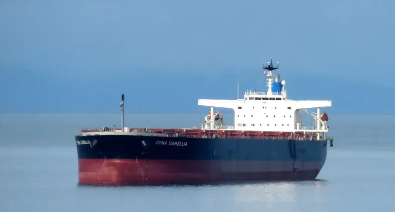 DYNA CAMELLIA Bulk Carrier IMO 9381196 photo 10