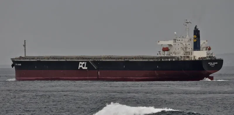 ROYAL AWARD Bulk Carrier IMO 9381201 photo 3
