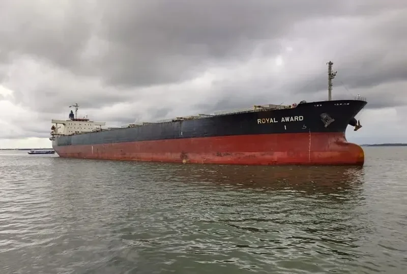ROYAL AWARD Bulk Carrier IMO 9381201 photo 8
