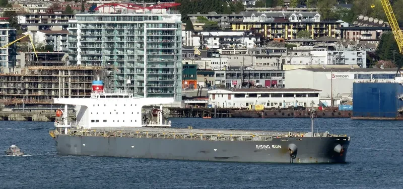 RISING SUN Bulk Carrier IMO 9381225 photo 2