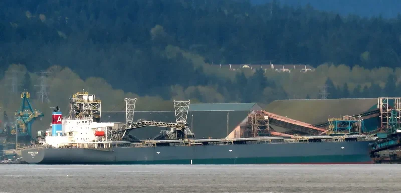 RISING SUN Bulk Carrier IMO 9381225 photo 3