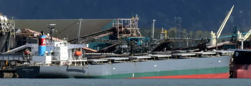 RISING SUN Bulk Carrier IMO 9381225 photo 4