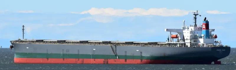 RISING SUN Bulk Carrier IMO 9381225 photo 5