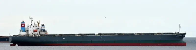 RISING SUN Bulk Carrier IMO 9381225 photo 6