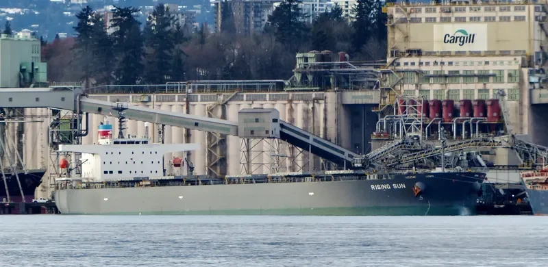 RISING SUN Bulk Carrier IMO 9381225 photo 8