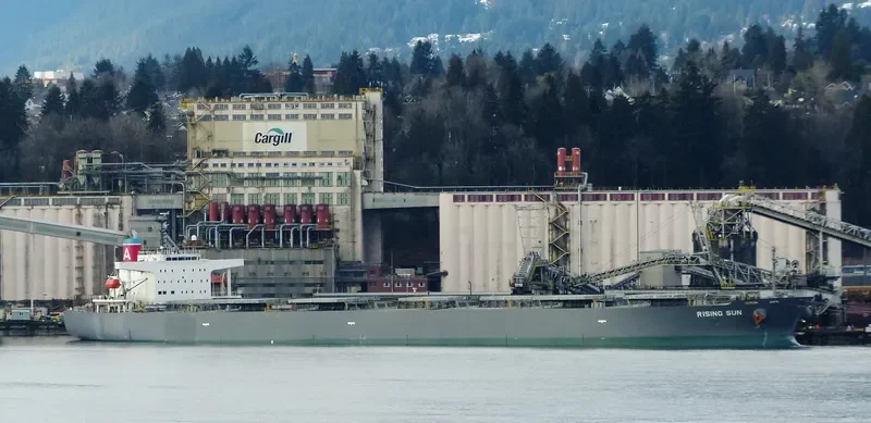 RISING SUN Bulk Carrier IMO 9381225 photo 9