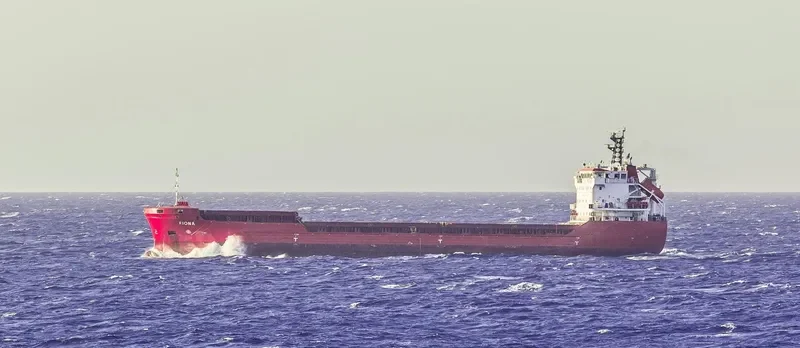 FIONA General Cargo IMO 9381419