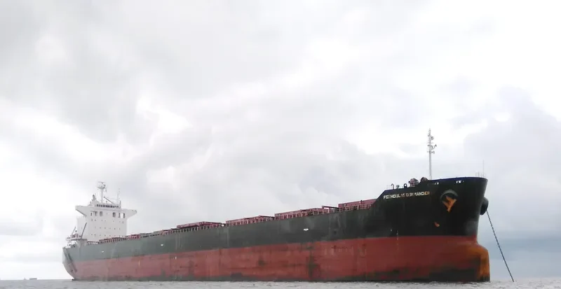 PEDHOULAS COMMANDER Bulk Carrier IMO 9381524