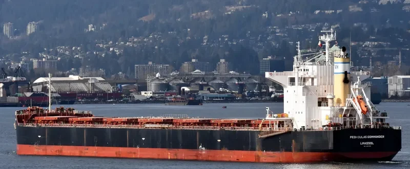 PEDHOULAS COMMANDER Bulk Carrier IMO 9381524 photo 8