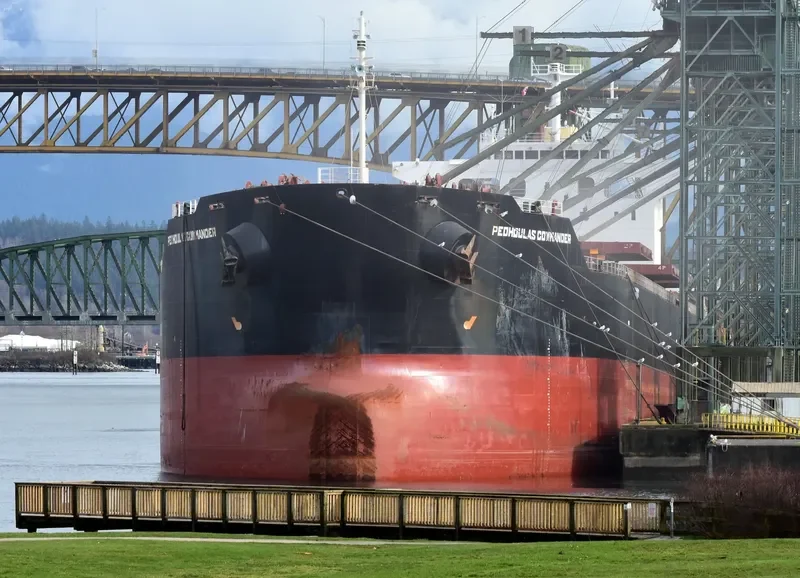 PEDHOULAS COMMANDER Bulk Carrier IMO 9381524 photo 10
