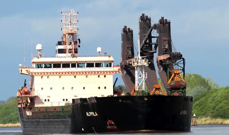 ALPPILA Bulk Carrier IMO 9381706 photo 2