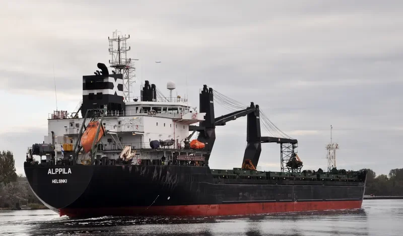 ALPPILA Bulk Carrier IMO 9381706 photo 3