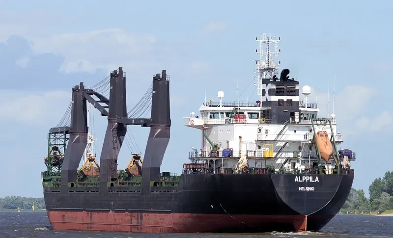 ALPPILA Bulk Carrier IMO 9381706 photo 8