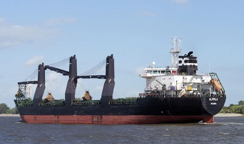 ALPPILA Bulk Carrier IMO 9381706 photo 9