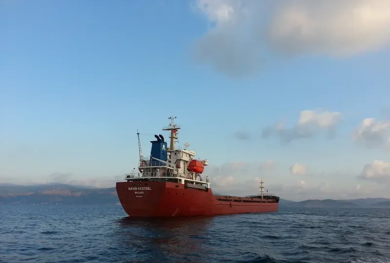 NAVIN KESTREL General Cargo IMO 9381811 photo 7