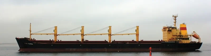 STARA PLANINA Bulk Carrier IMO 9381873 photo 6