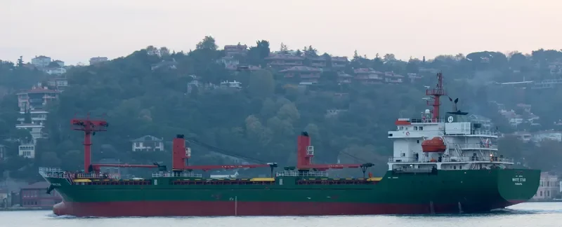 WHITE STAR General Cargo IMO 9381938 photo 8