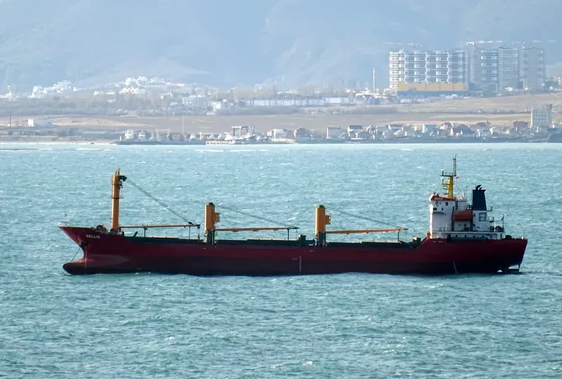 BELLIS General Cargo IMO 9381952