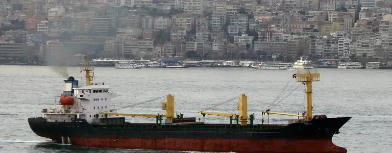 BELLIS General Cargo IMO 9381952 photo 6